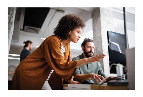 art-director-border Photo of Business Owner collaborating with developer